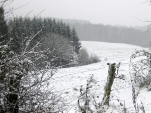 Bel Horizon - Winter